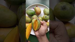 How to cut mango slice 🥭🥭#mangoslice #shorts