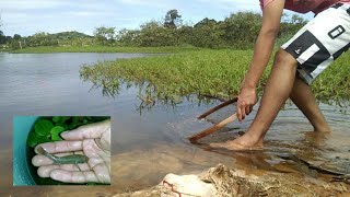 PESCARIA CONHECENDO RIOS E LAGOAS ABANDONADAS E PEGAMOS UM PEIXE DESCONHECIDO