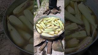 Comiendo #Elotes en un lindo día de campo con la familia | #Guerrero #México. ♥️🇲🇽🎶🚗