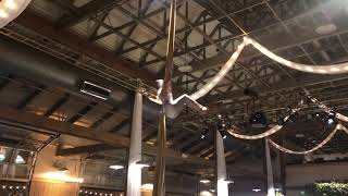 Solo Aerial Silks Act- Grace Good