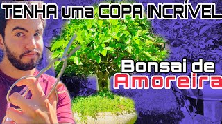 COMO FAZER BONSAI de AMOREIRA - COMO PODAR o Bonsai de Amora