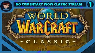 WOW Classic Live Stream No Commentary