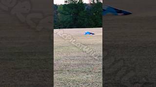 Tail Touch Gone Wrong #rcplane #youtubeshorts #rcplanecrash #butterlanding