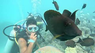 Scuba Diving @ Bangaram Island Resort, Lakshadweep