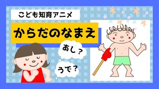 【からだのなまえ】どれだけ知っているかな？からだのパーツの名前を覚えましょう。☆幼児向けアニメ☆子供向けアニメ☆知育アニメ☆