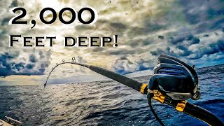 Catch and Cook || Dropping Baits in 2,000 feet of Water off Fraser Island!!  What did we catch??