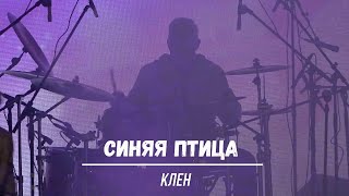 ансамбль Синяя птица   "Клен"