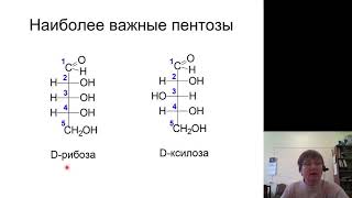 Химия 8.Углеводы