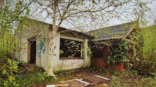 Abandoned Workshop Surrounded by Trees and Bushes Abandoned Places Urbex