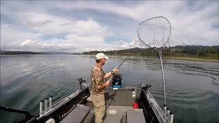 Columbia River salmon fishing | Fishing report 9-14-2019