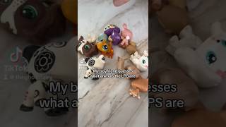 My Boyfriend Guesses LPS Animals Part 1 #littlestpetshop #lps #lpscollection #toycollector #lpshaul