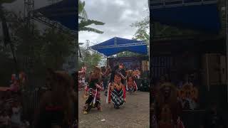 jaranan buto #solahbarongan #banyuwangi #jarananbuto #viral #rampakbarong #celengsrenggi #jaranan