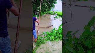 awesome village fishing video #shorts #villagefishing #fish