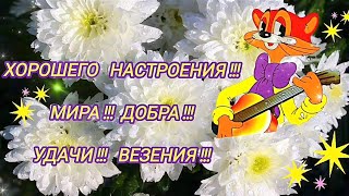 Хорошего дня !🌺Мира!🕊Добра!🌺Удачи и Везения!🌺