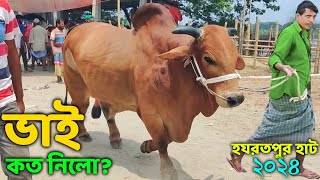 Bhai Koto Nilo? Paragram (Hozrotpur) Gorur Hat 2024-Part 22 | Qurbani Cow Price in Bangladesh | Cows