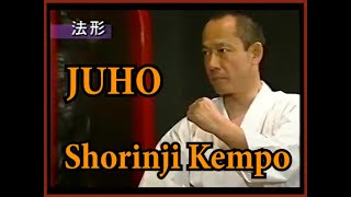 Soft method in martial arts. Techniques Juho Shorinji Kempo.Sensei Arai. 少林寺拳法. 武道少林寺拳法の講義