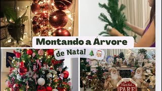 MONTANDO A ÁRVORE DE NATAL 2022 | decoração simples de natal 🎅🏼 🎄 - Cacau Andrade