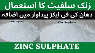 Zinc application in rice crop | دھان میں زنک سلفیٹ کا استعمال | AGRICULTURE WORLD