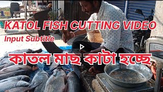 Katol fish cutting//katal machher peti #fish #amazing #viralvideo