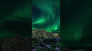 Northen lights in tatra mountains