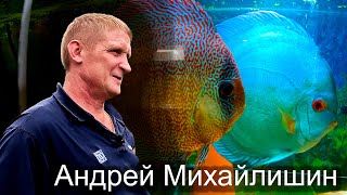 Дискусы Михайлишина Андрея