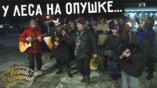 Зима («У леса на опушке...») | Ансамбль «Сибиряки» (г. Новосибирск) | Играй, гармонь! | @igraygarmon