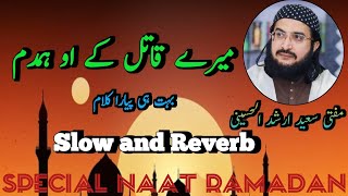 Mery Qatil K O HumDam || Mufti Saeed Arshad || Slow and Reverb || New Kalaam 2024.