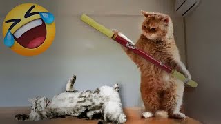 TRY NOT TO LAUGH 🤣😂 Best Funny Animal Videos 😍