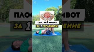 Плоский живот за одно упражнение #здоровье #плоскийживот