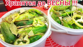 Огурцы КВАШЕНЫЕ как из БОЧКИ * ЯДРЁНЫЕ, ХРУСТЯЩИЕ* хранятся до ВЕСНЫ