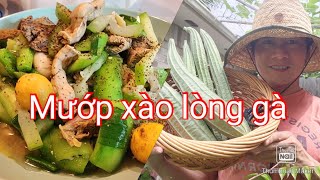 Thu hoạch những trái mướp đầu tiên làm món mướp xào với lòng gà rất ngon, ăn kèm cá khô chiên.