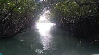 RIO ARACATIAÇU, TÚNEL DO MANGUE,  AMONTADA-CE.