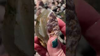 Finding Agates in Nevada! #thesubmissivestone #rockhounding #geology