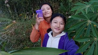 villagelife #villagelifestyle #rurallife #rural_life_india #northeastindia #sikkim .