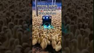 bebek lucu #shorts #viral #youtubeshorts #animals #bebek