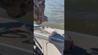 Giant blue catfish gets hog tied😂 #fishing #bluecatfish #catfishing #fishingfails