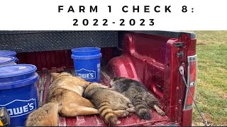 Farm 1 Check Day 8: 2022-2023