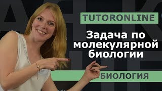 Биология| Задача по молекулярной биологии