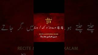 chalte chalte hue Abid As | Qabar Asgar as | Noha #yahussian #nohas  #qabarAsgharki #yaalimadad