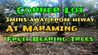 V#914 | Corner Lot 3mins away from Hiway with fruit bearing trees | Sta Maria Laguna