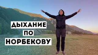 Дыхательная гимнастика по Норбекову