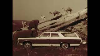 1967 American Motors Station Wagon Commercial