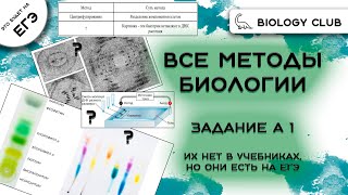 Все методы биологии для ЕГЭ 2024 - понятное, простое и быстрое объяснение