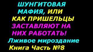 Шунгит в эзотерике не работает, и как защита от пришельцев! Шунгитовая мафия! Лживое мироздание 8ч