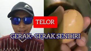 Telor Gerak gerak sendiri