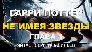 Не имея звезды - Глава 1 | Гарри Поттер (аудиокнига Васильев С.)