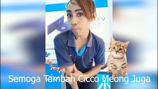 Promotor Vivo Amora Mengucapkan Selamat Ulang Tahun