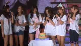 150322 Apink cutting cake Pink Paradise