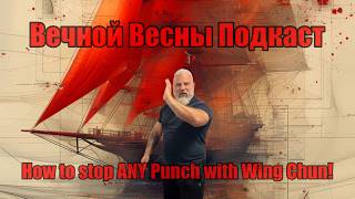 Разбор Вин Чун от Izzo Wing Chun/Как остановить Любой Удар с помощью Вин Чун!? #винчун #разбор