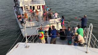 Dolphin Cruise Orange Beach Water Fight Crazy Fun 8 7 19 530PM